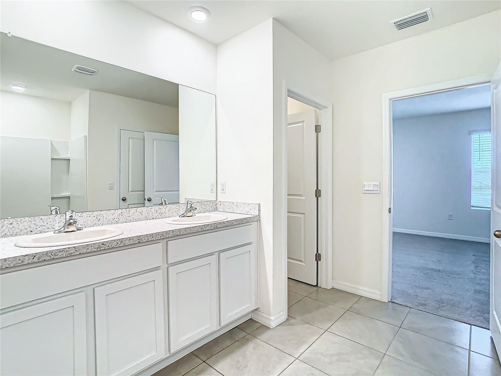 Vanity in owner's bathroom. Water closet by the entry.