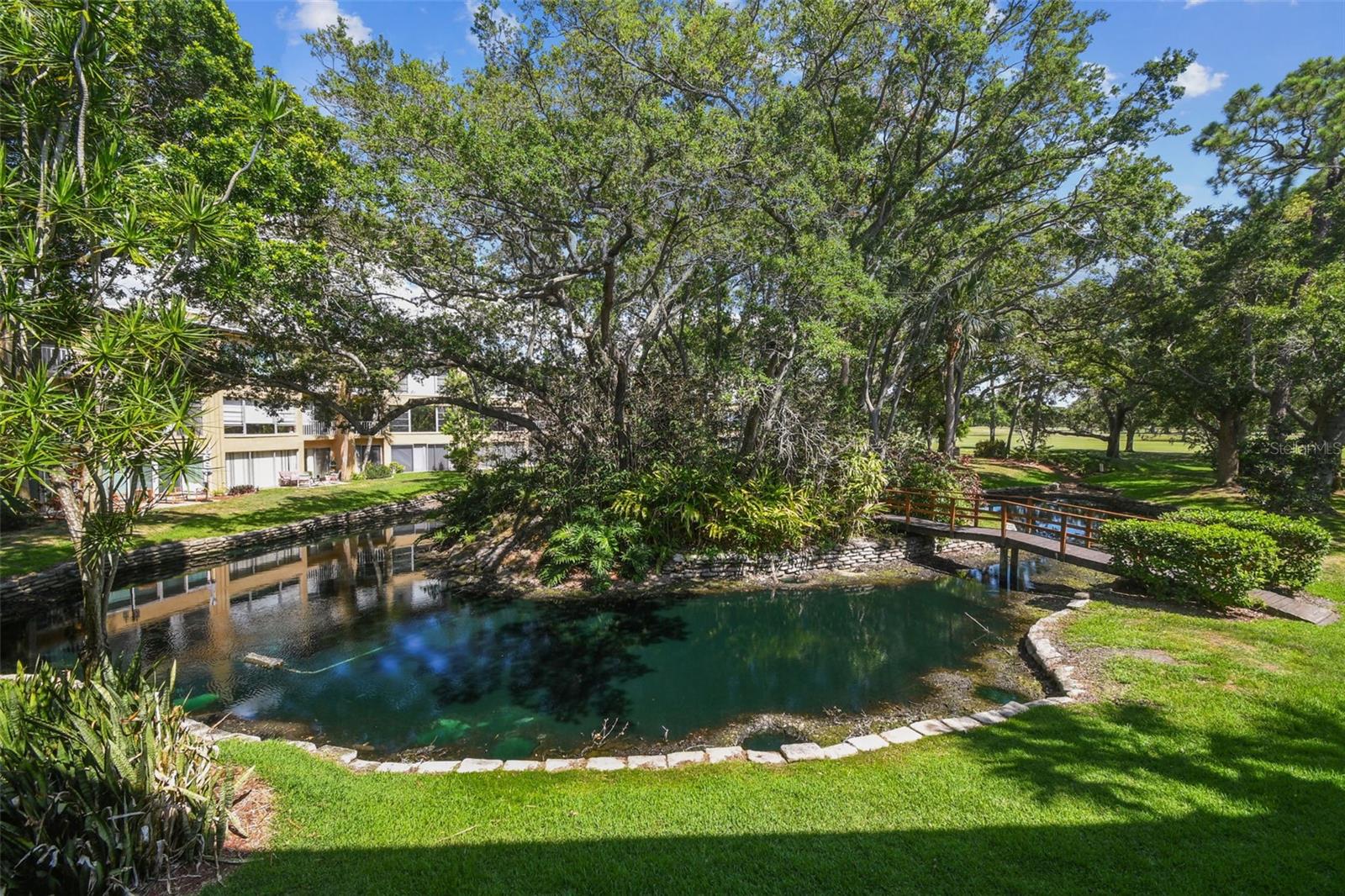 View of Pond