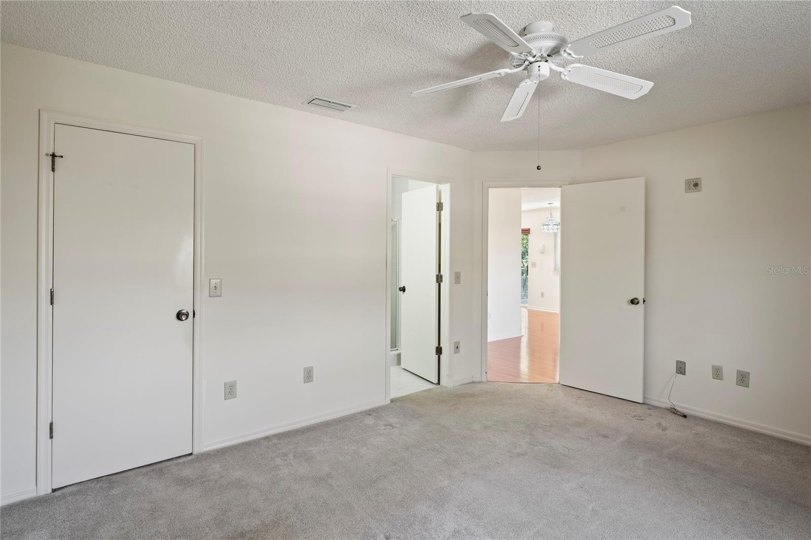 Closet on the left, bath door in the middle and the door to the hallway