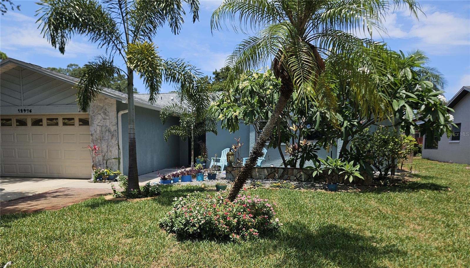 Front yard with NEW Sod