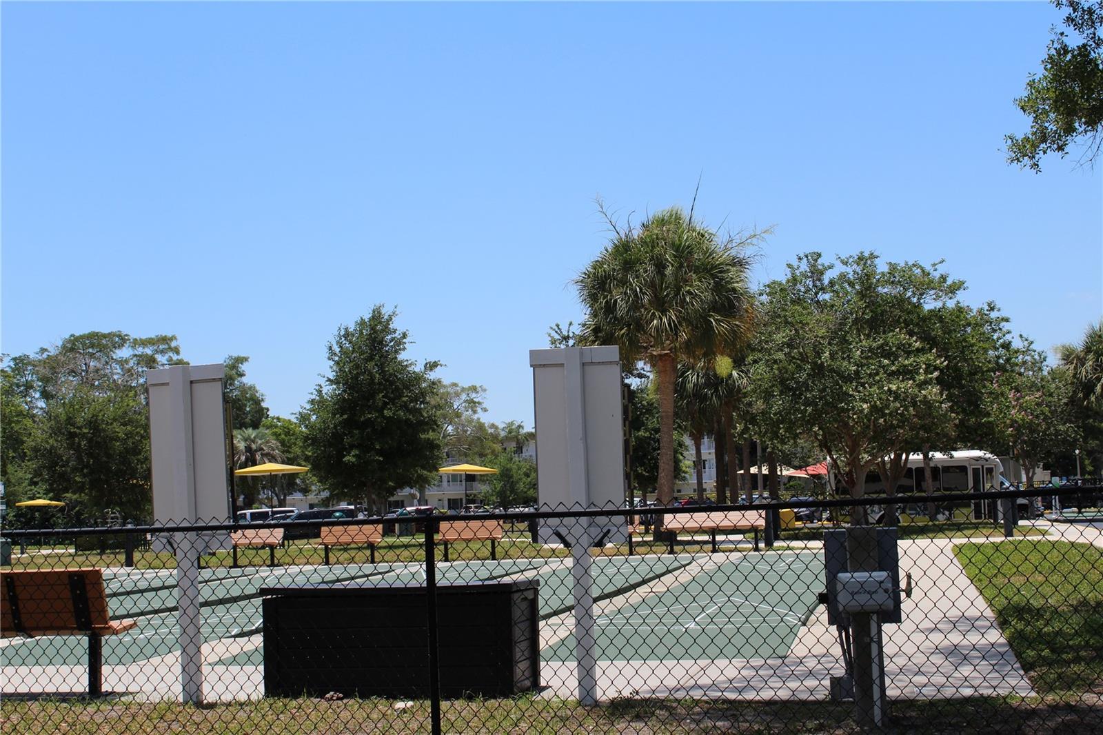 Shuffleboard Courts