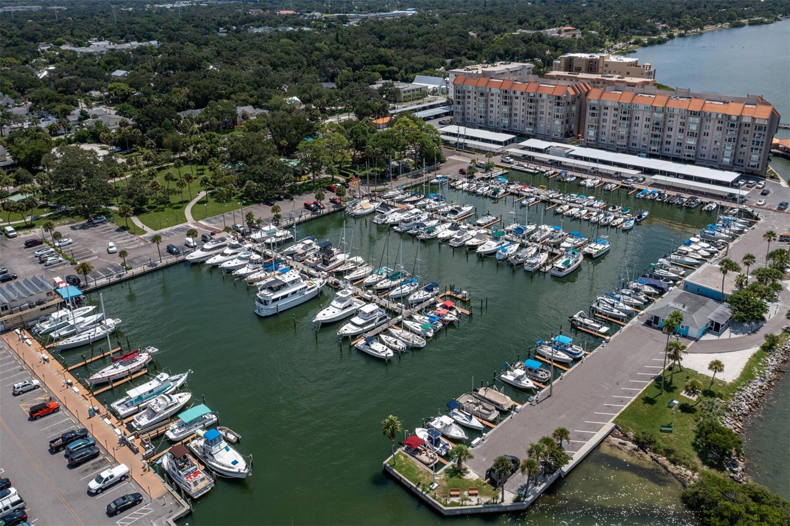 Dunedin Marina