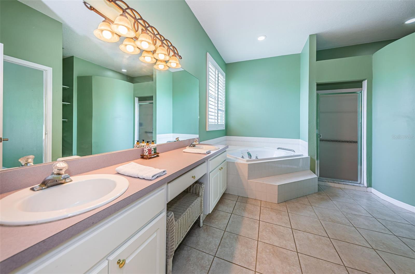 Primary bathroom double vanity sinks