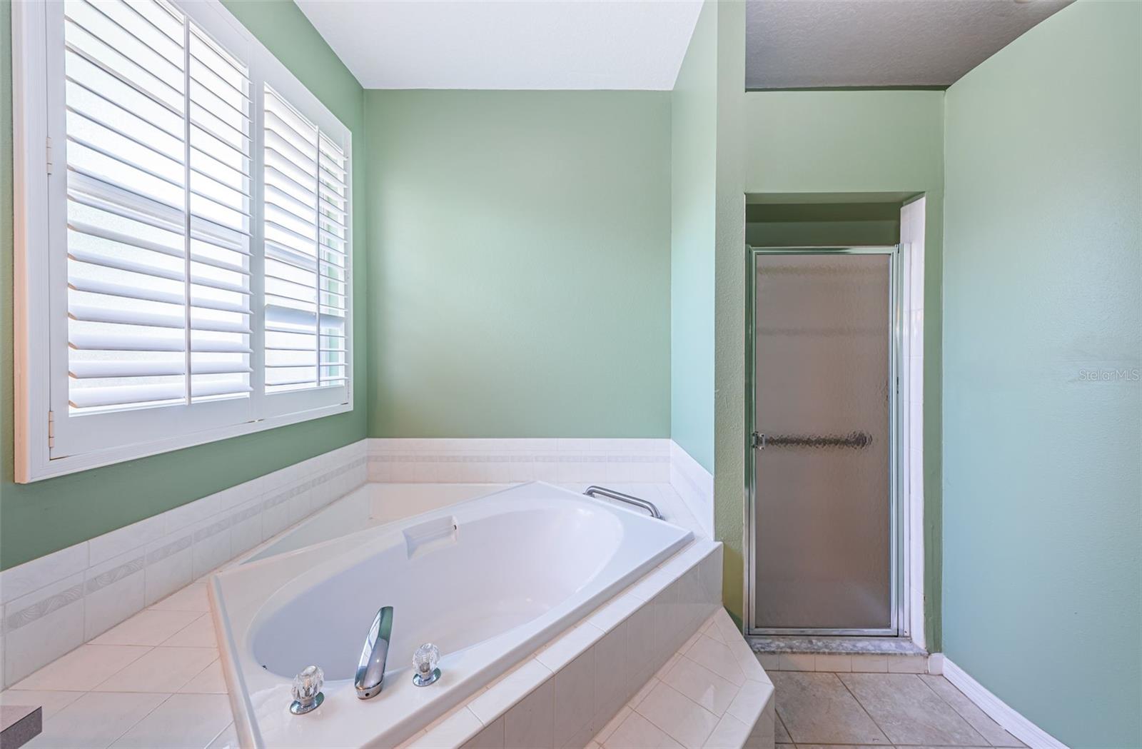 Primary bathroom soaking tub