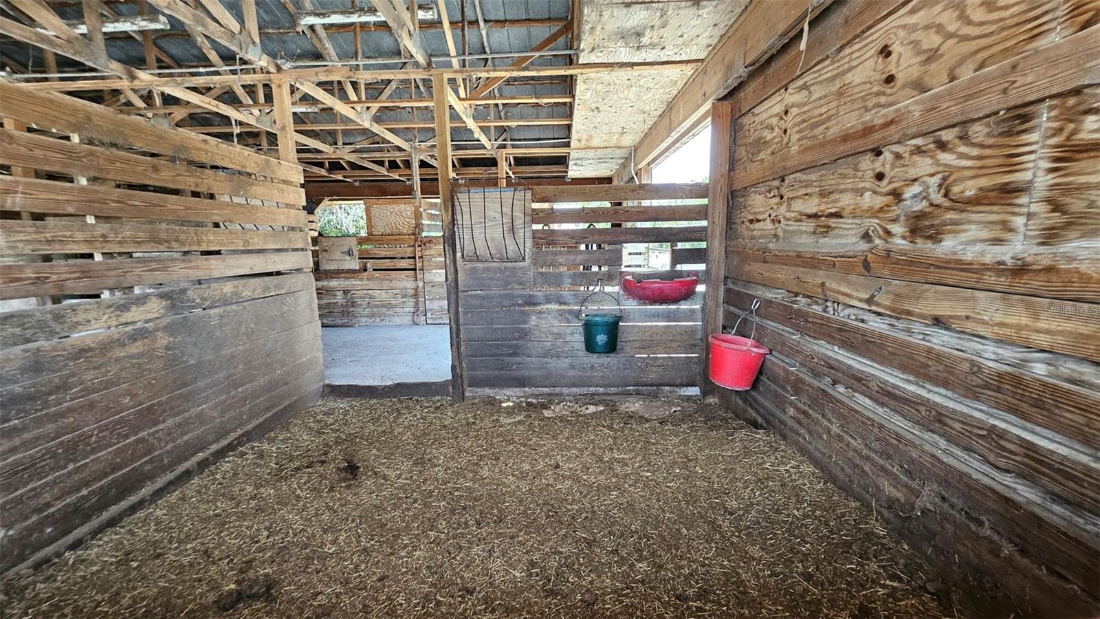 typical Stall in 12 stall barn