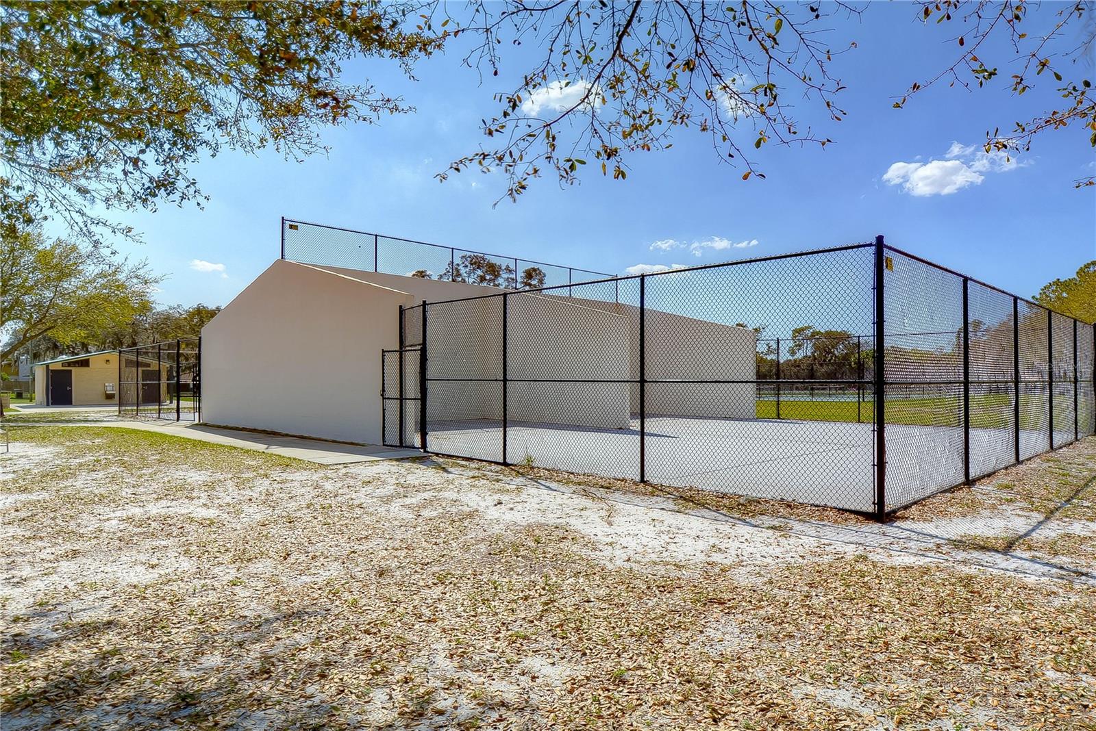 Pickleball court!