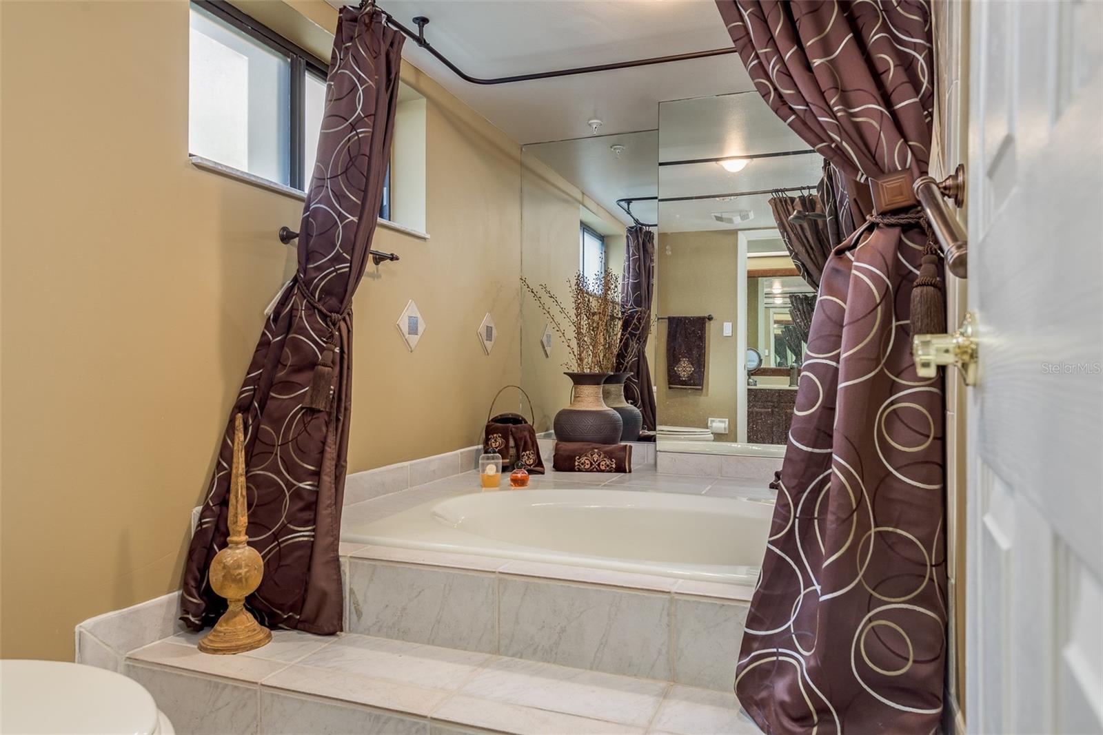 Master Tub and Shower