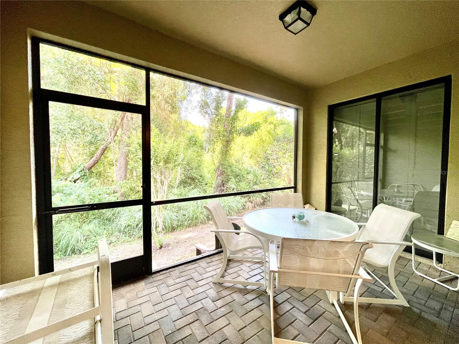 Back patio overlooking preserve