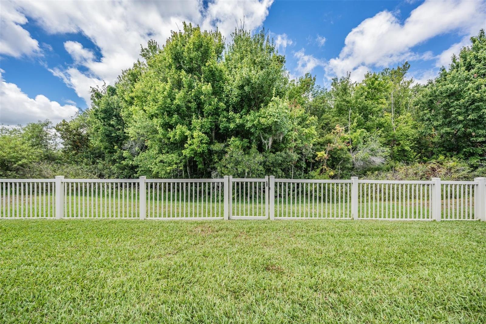 Fenced Yard Beyond the Patio