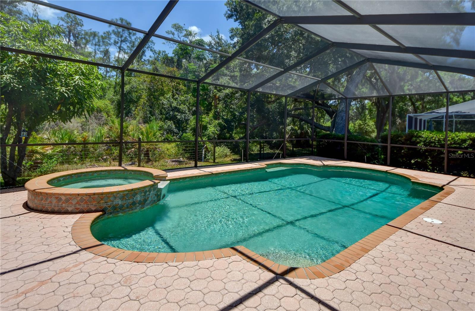 Screened Heated Pool/Lanai