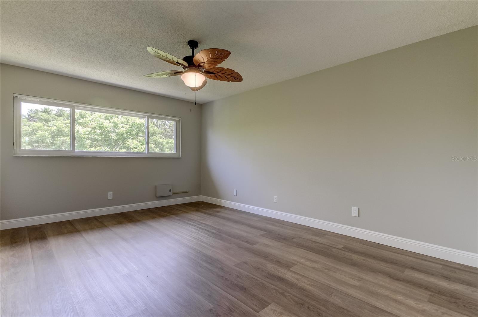 Master Bedroom with newer window (one year)