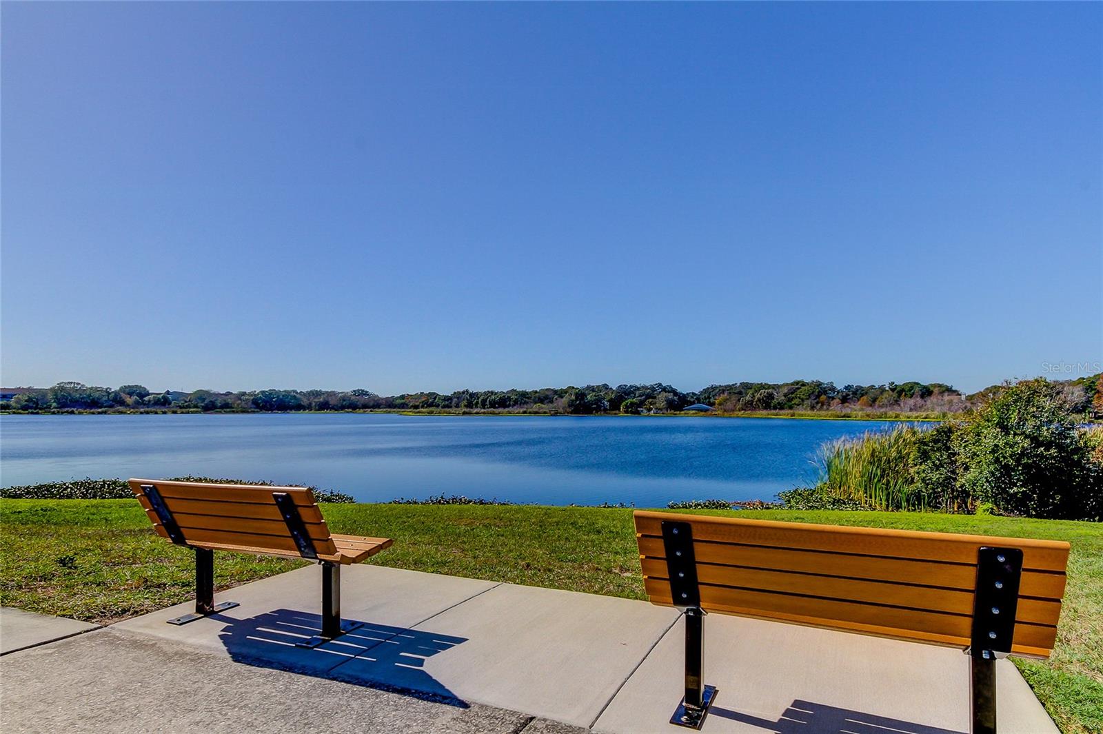 Benches to enjoy Lake Harbor