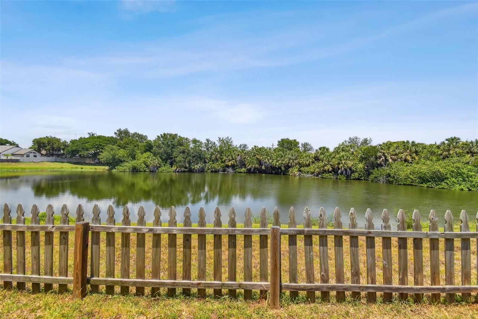 Serene, scenic pond view from rear yard