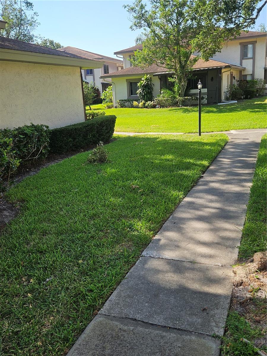 Walkway to front door.