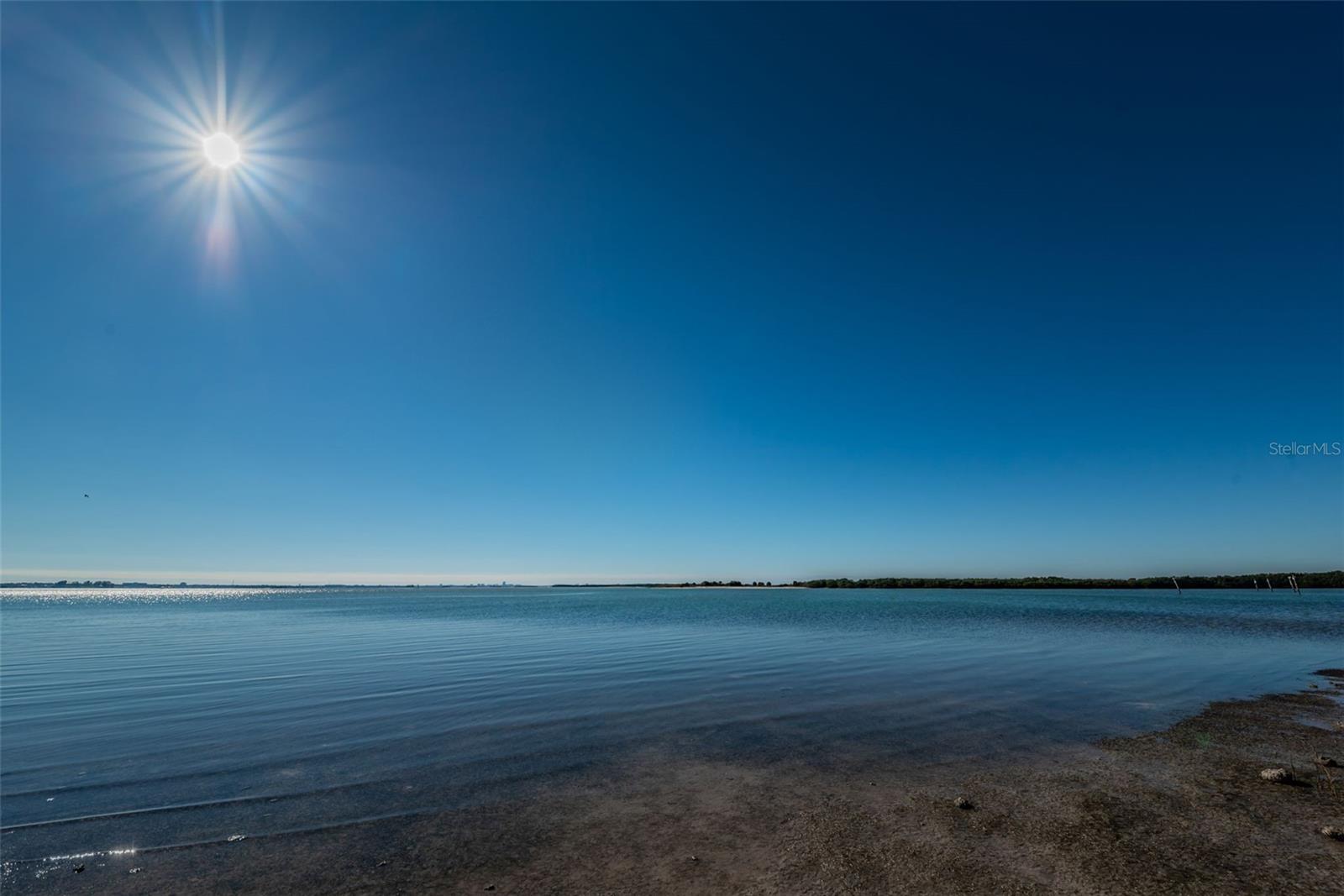 Honeymoon Island State Park