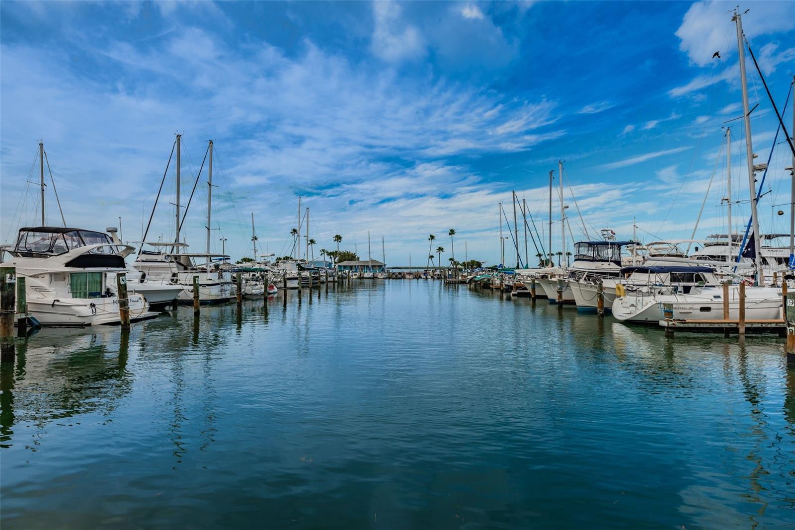 Dunedin Marina