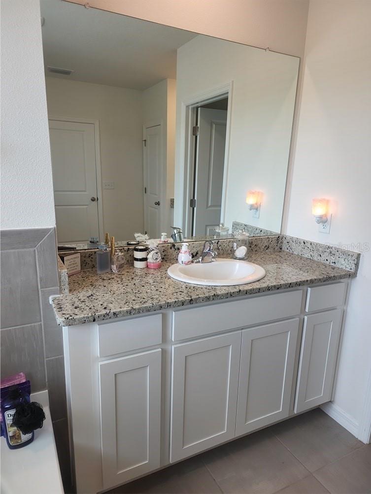 Master Bathroom Vanity 1