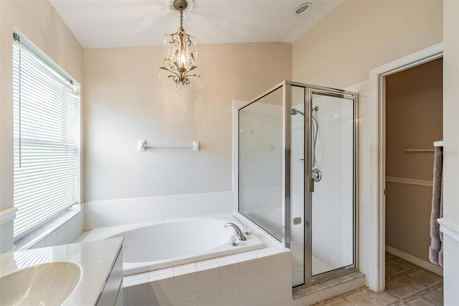 Primary Bath soaking tub/shower combo