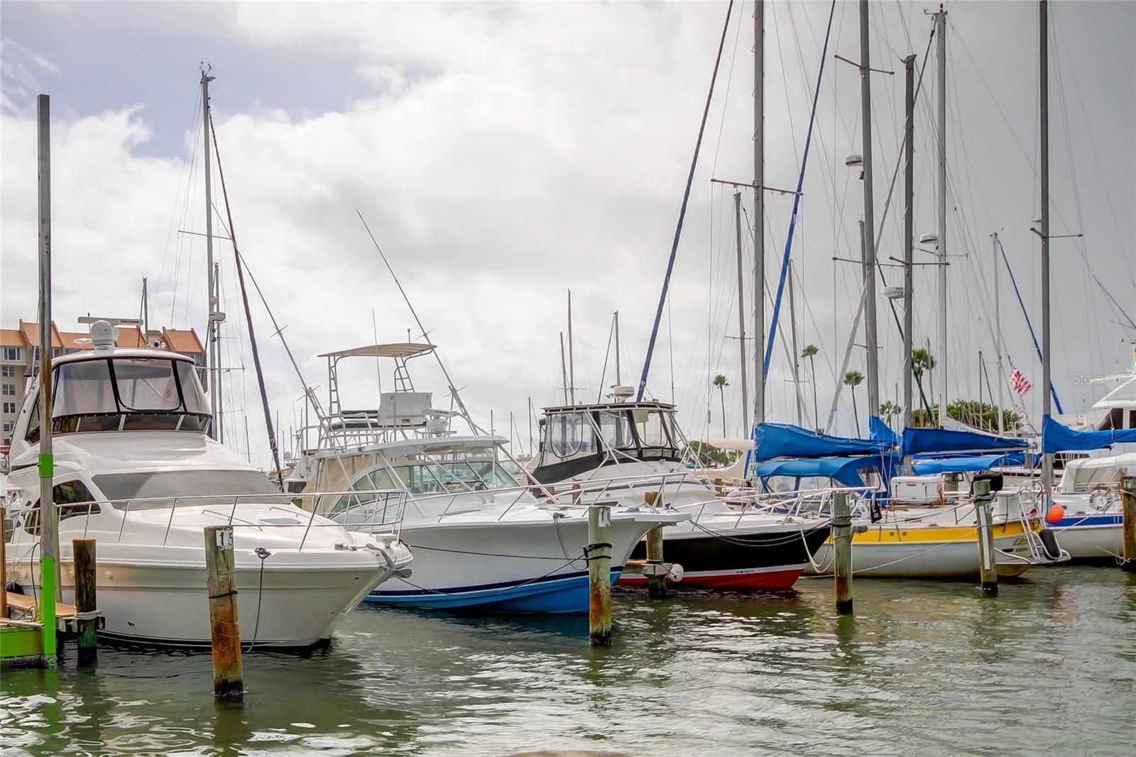 Dunedin Marina