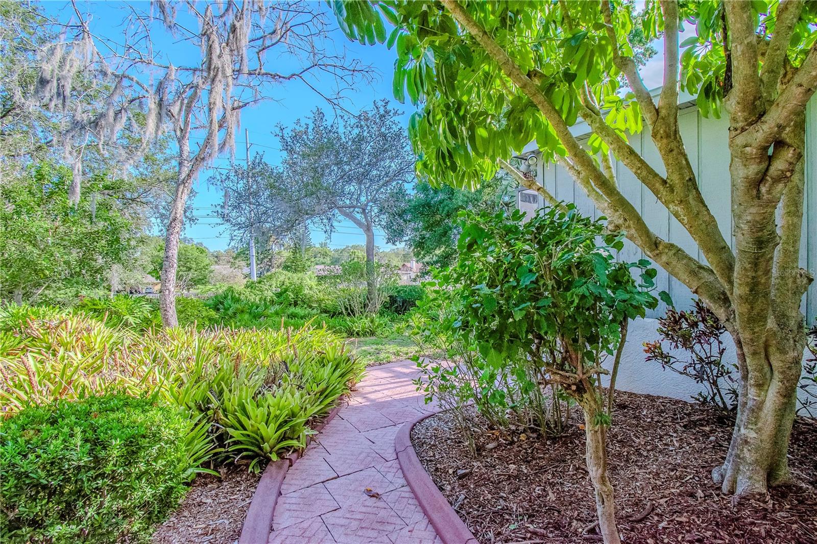 Outdoor Path on Side of Home with Lush Mature Landscaping