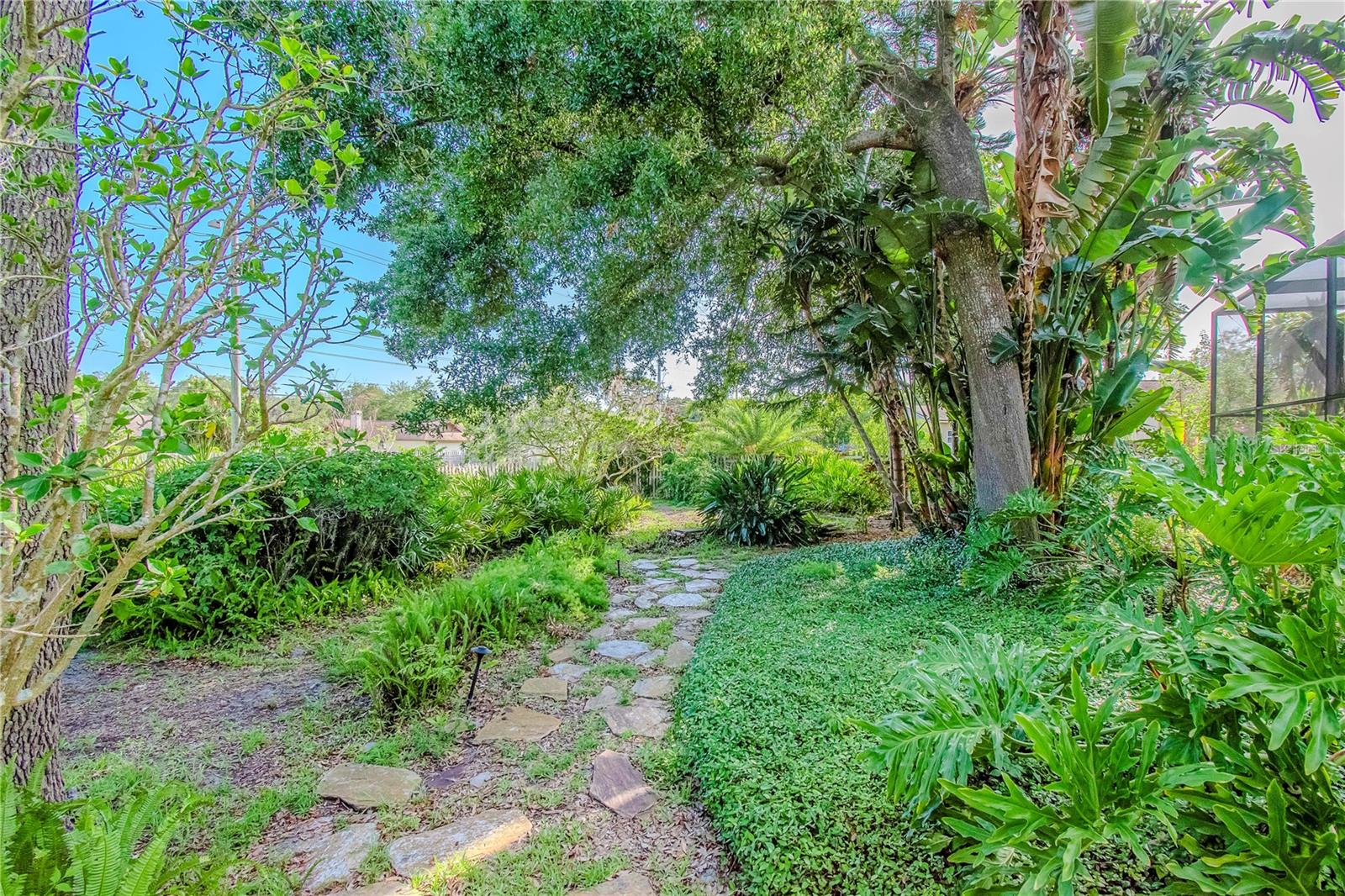 Lush Mature Landscaping and Trees in Backyard