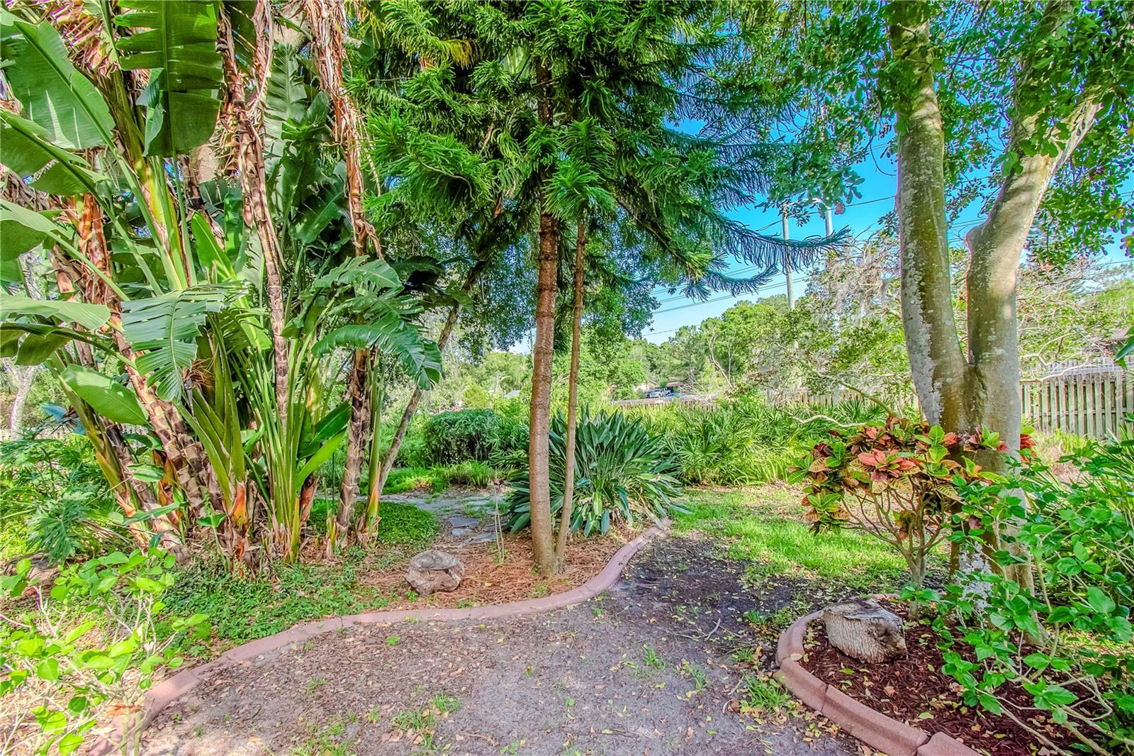 Lush Mature Landscaping and Trees in Backyard