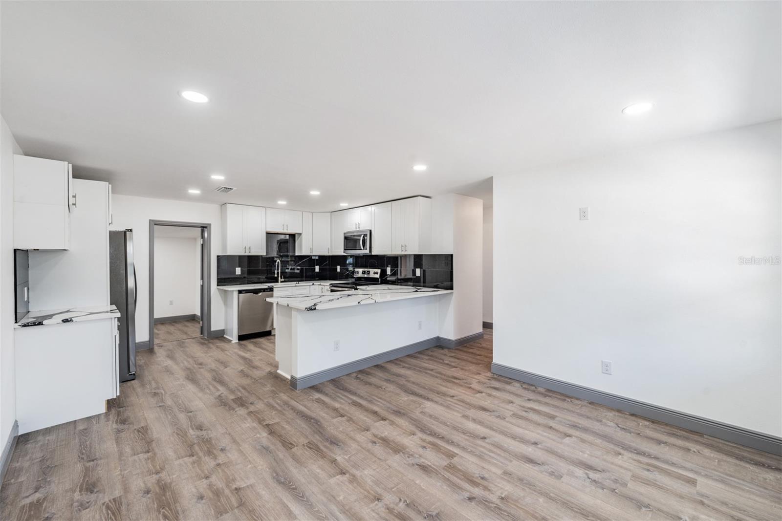 Livingroom and kitchen