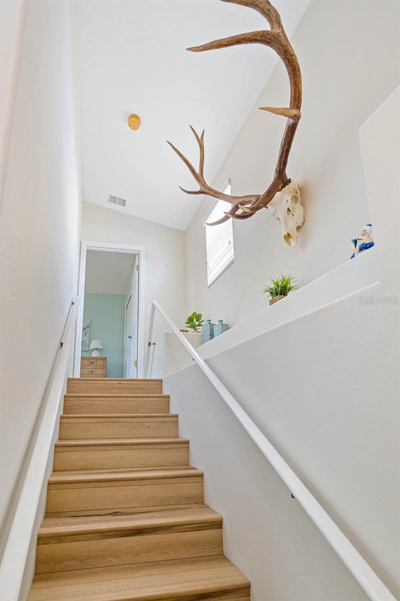 Stairway to master bedroom.