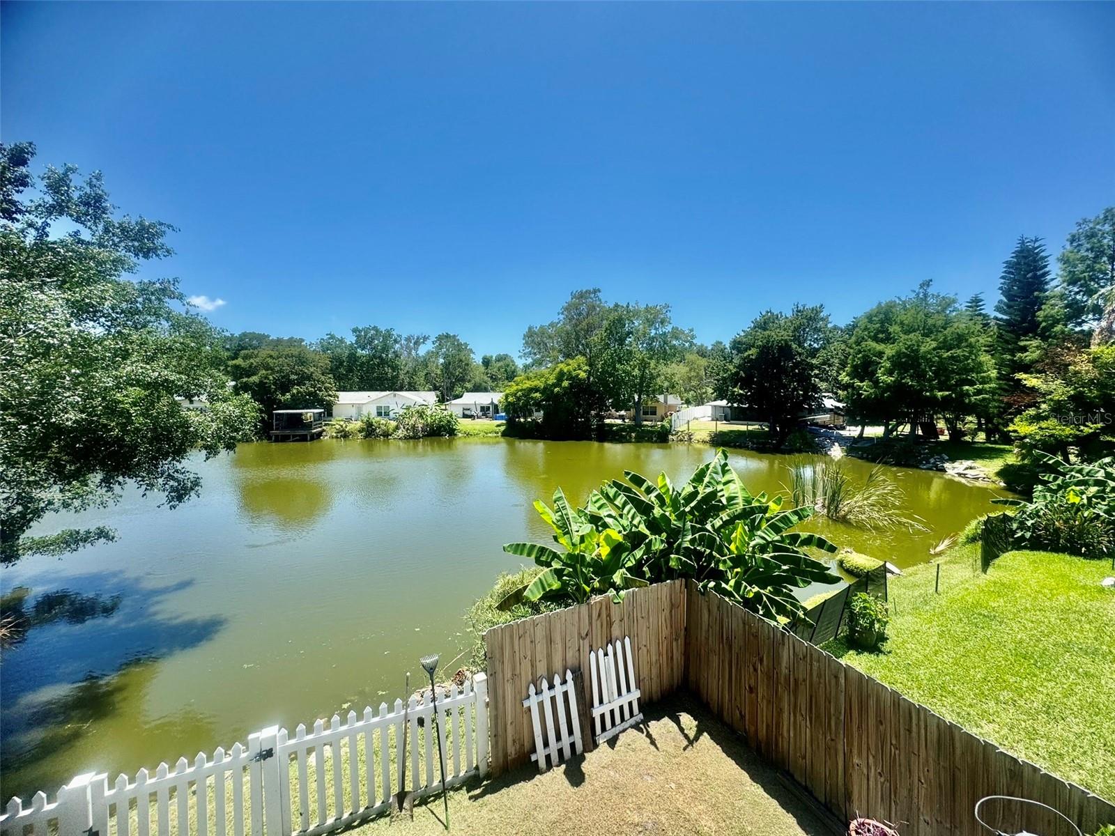 Lake behind the home