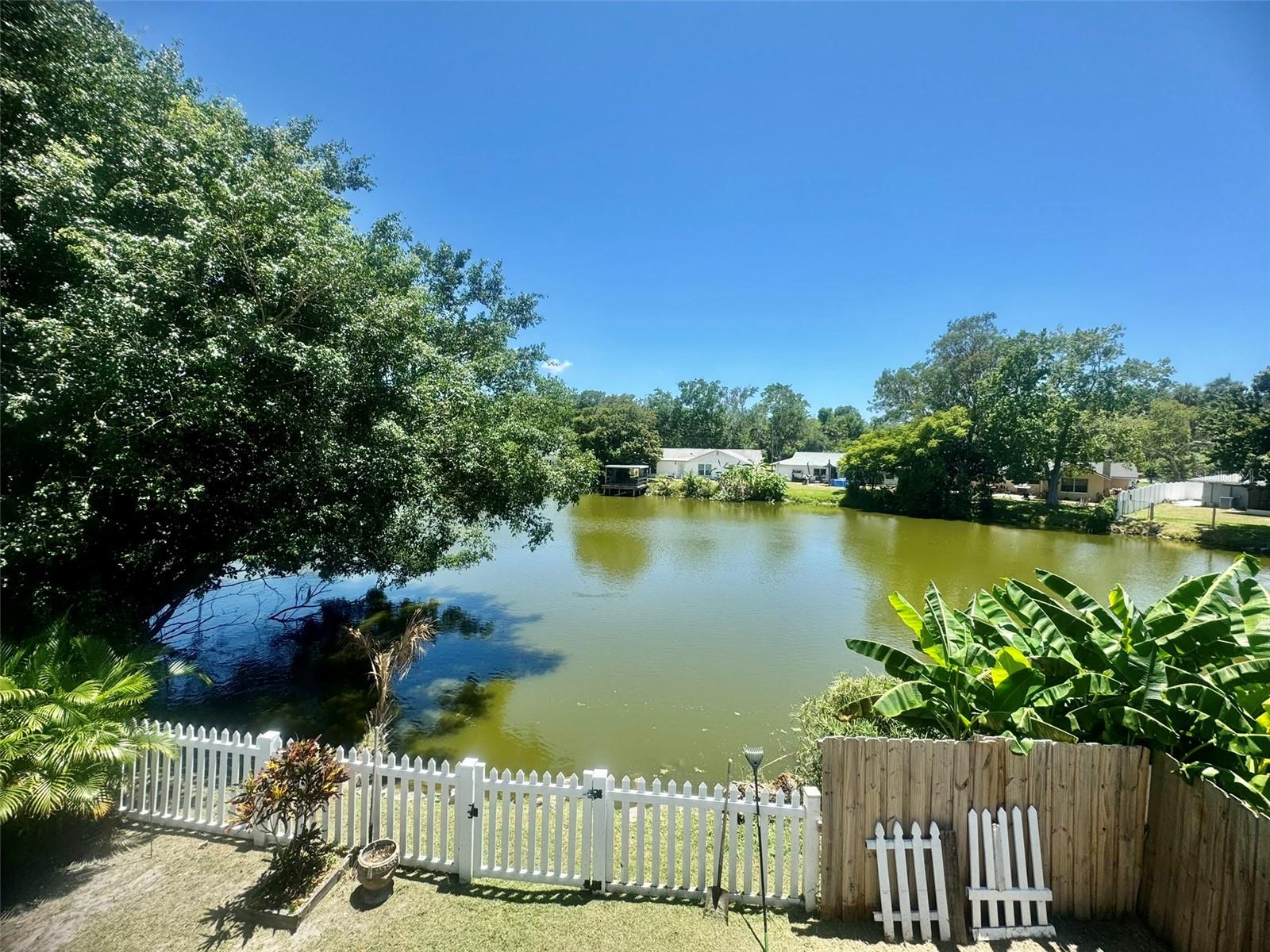 Lake behind the home