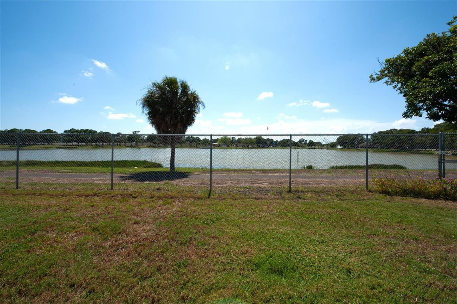 View of Freedom Lake from the back of the property