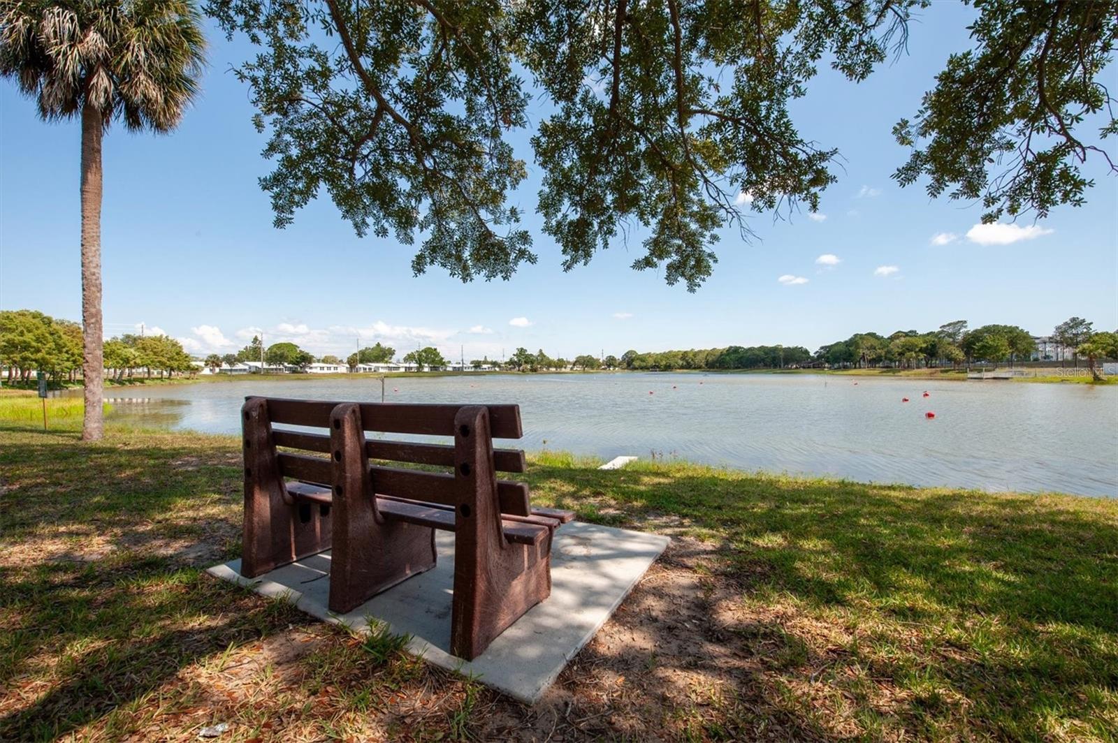 Peaceful Freedom Lake