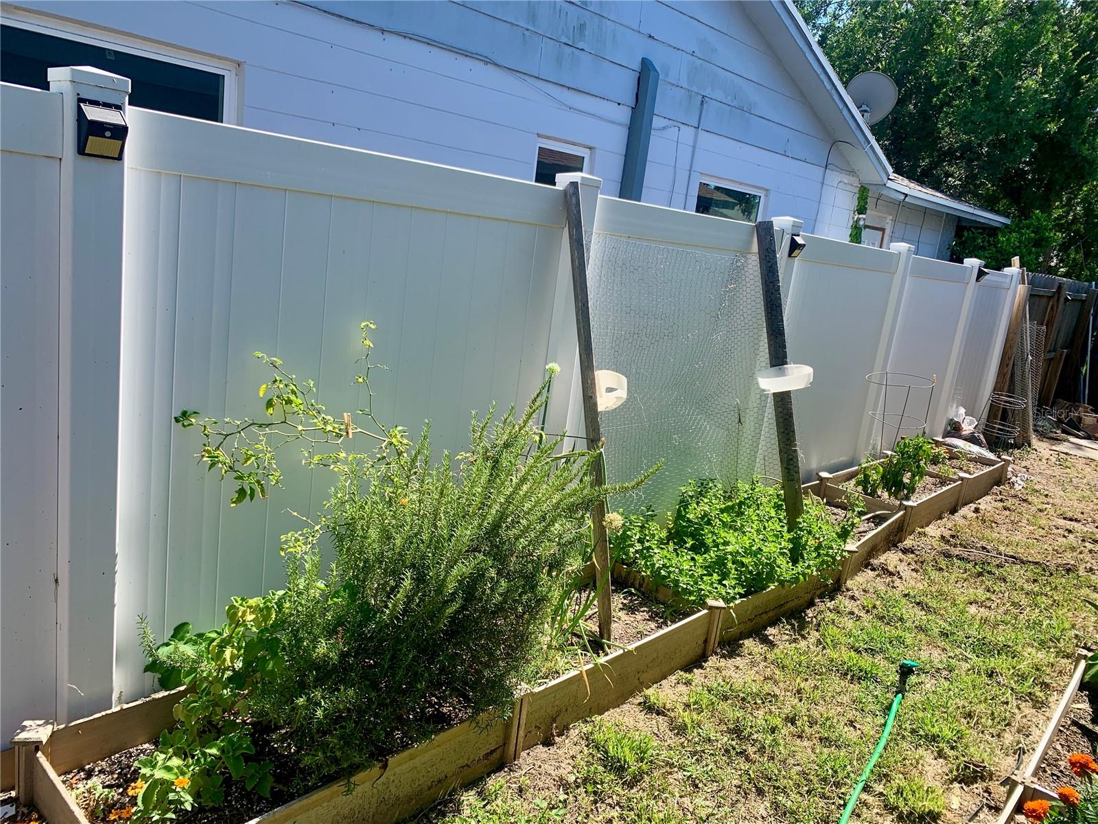 Side yard with established garden/herbs