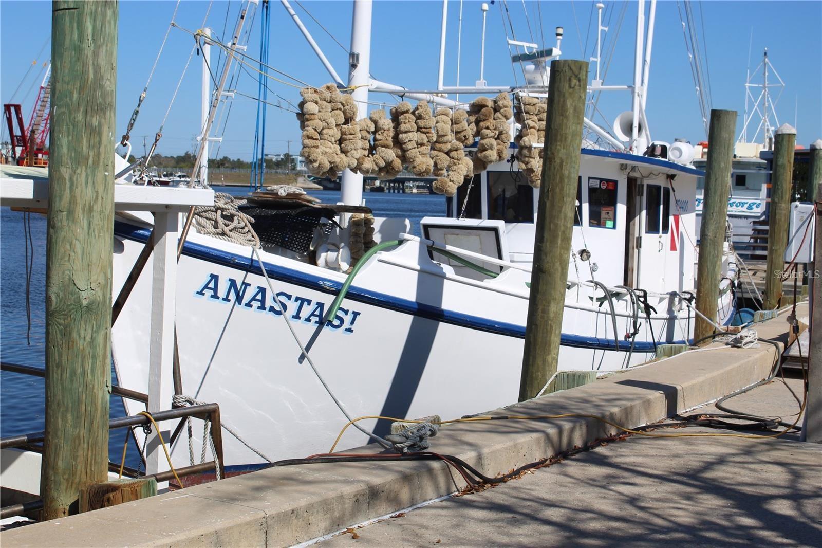 Sponge Boat