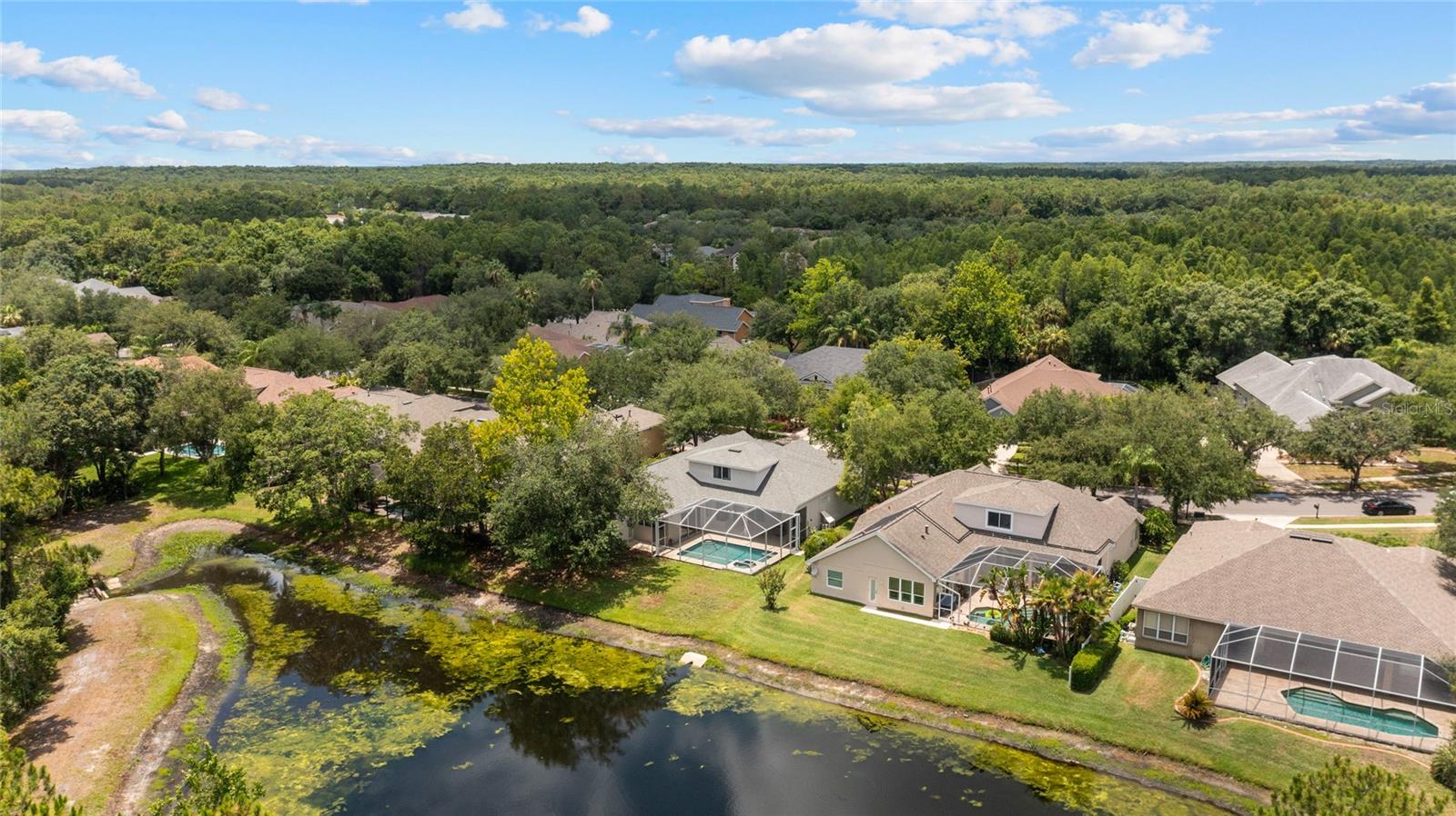 Aerial Views of Backyard