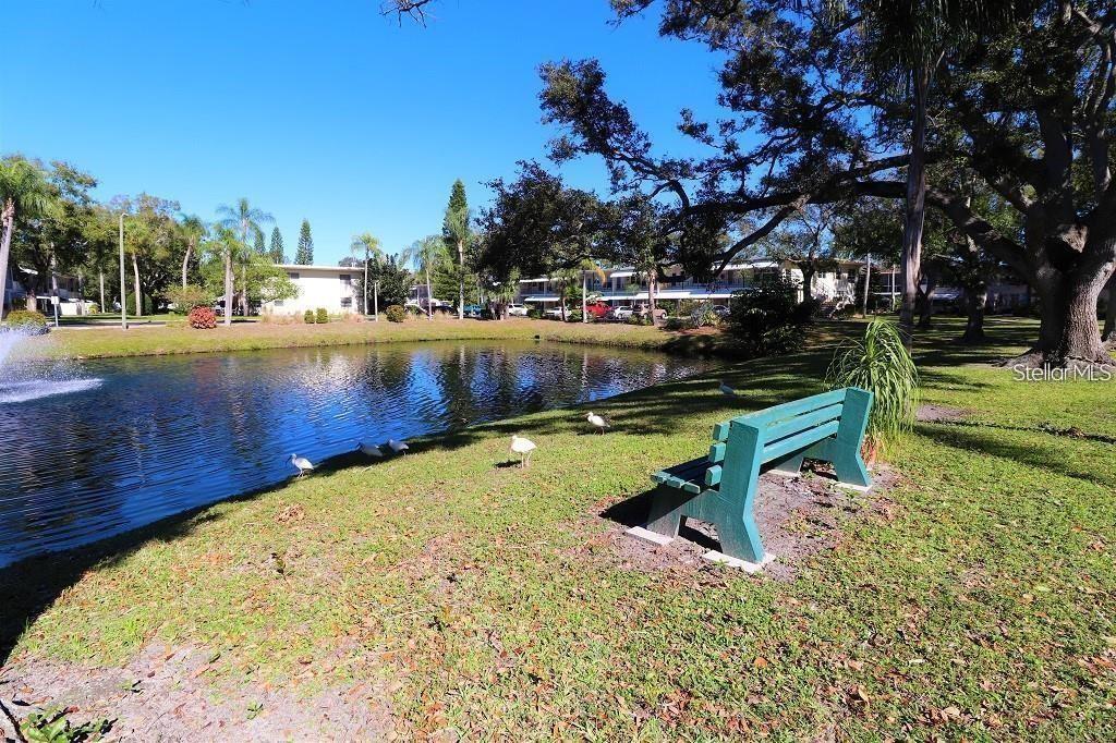 Community Pond about 2 streets East