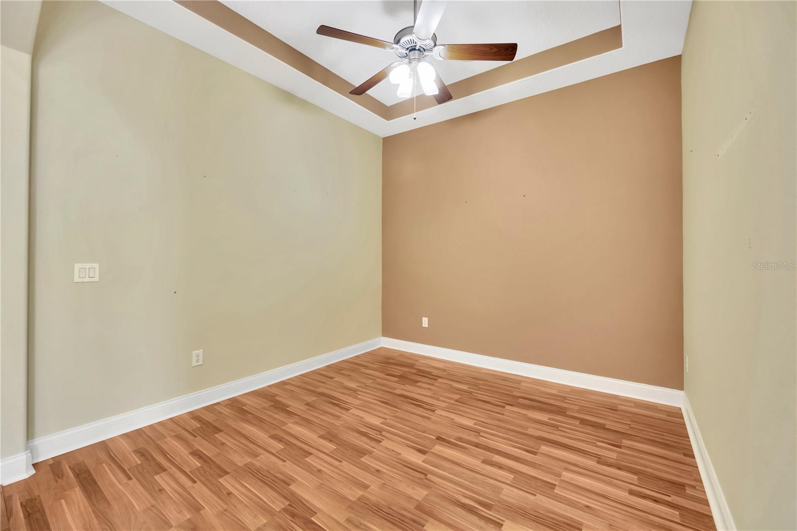 Dining room with tray ceiling