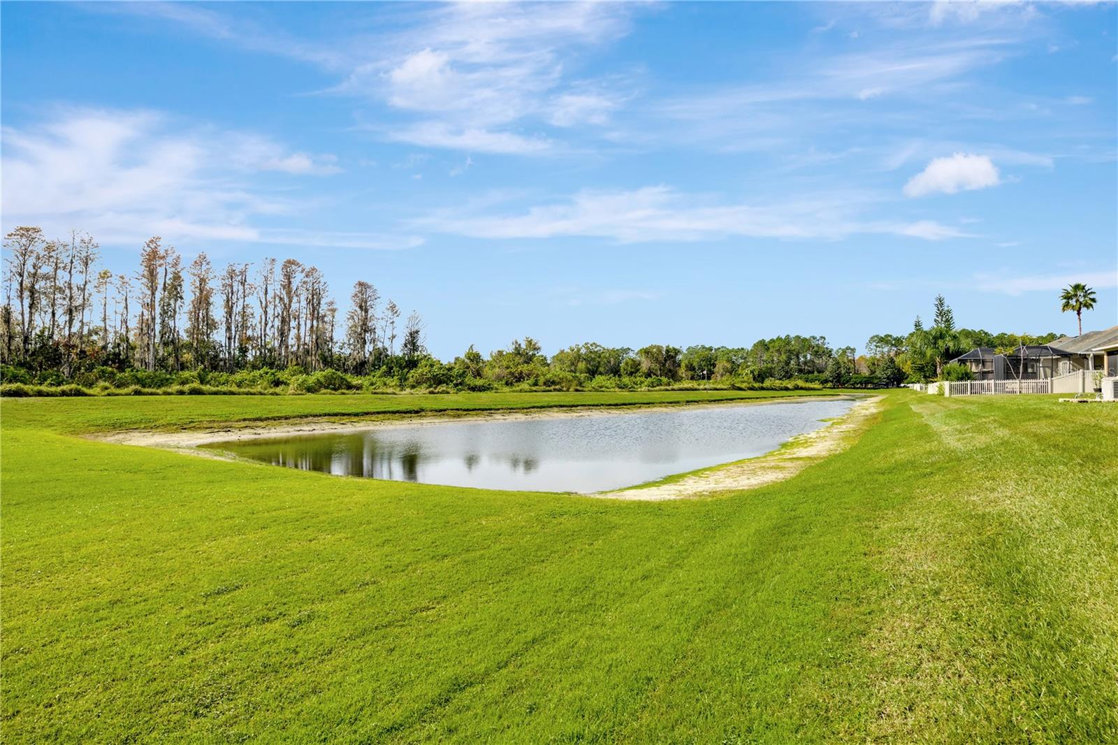 Conservation pond area behind the home