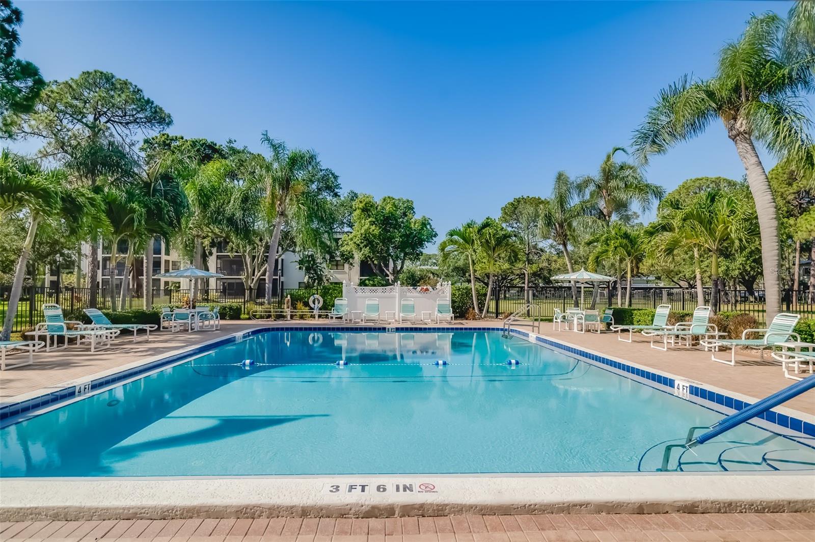 heated and cooled saltwater pool!