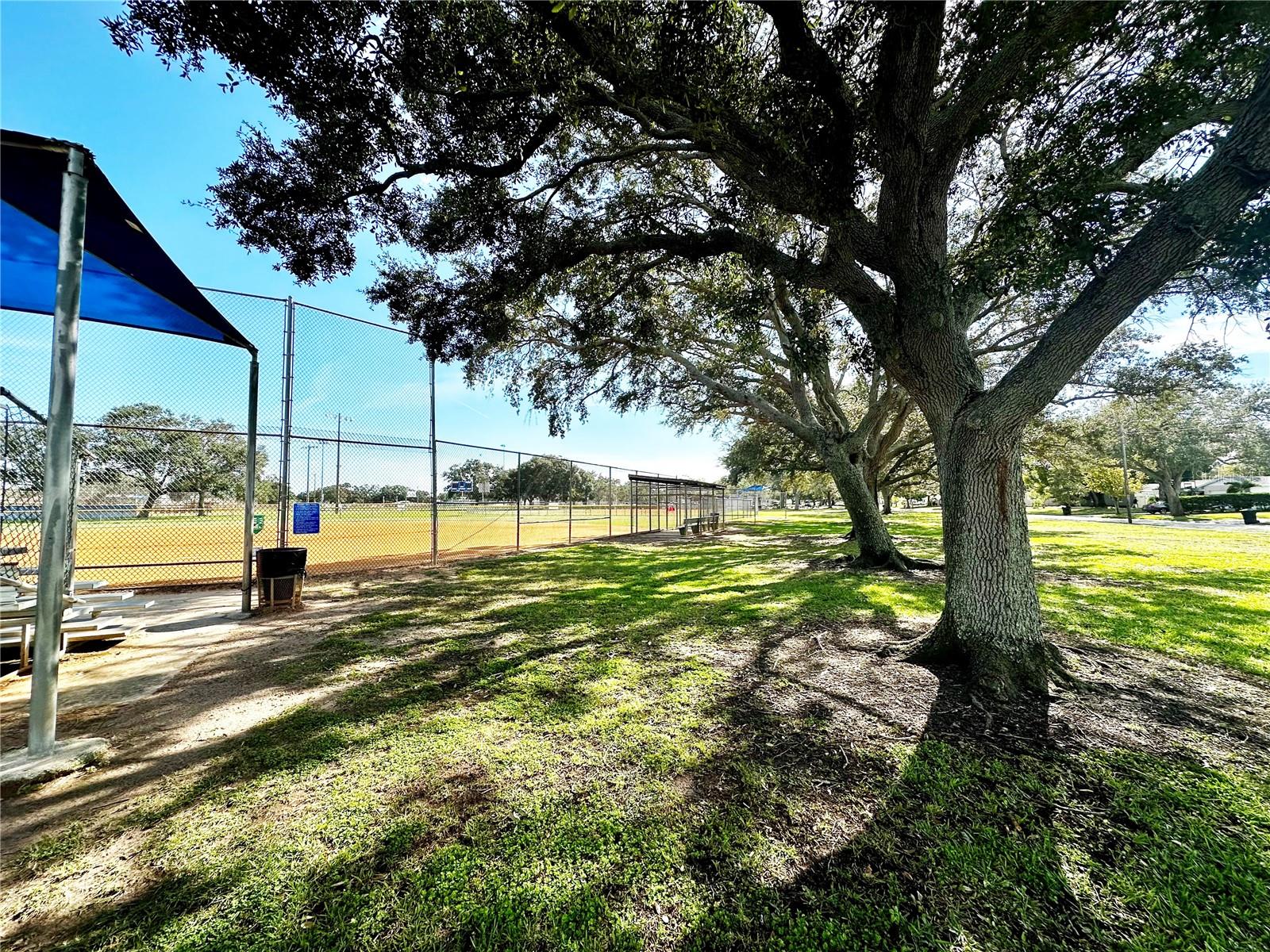 Neighborhood baseball fields