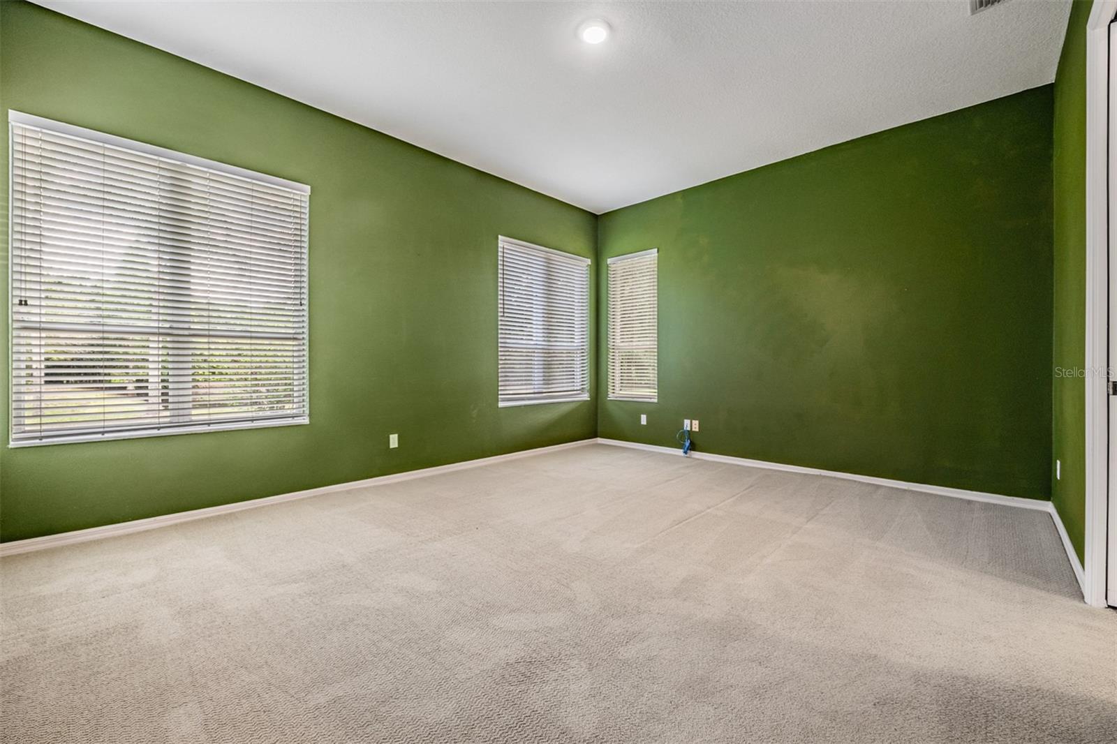 Large and Spacious Master Bedroom