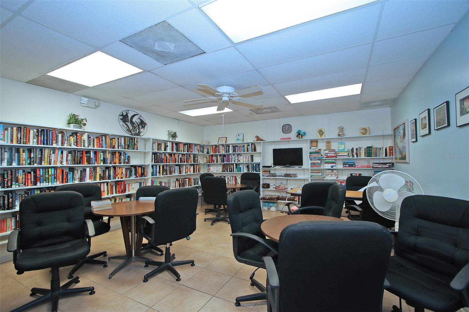 Library and video room.