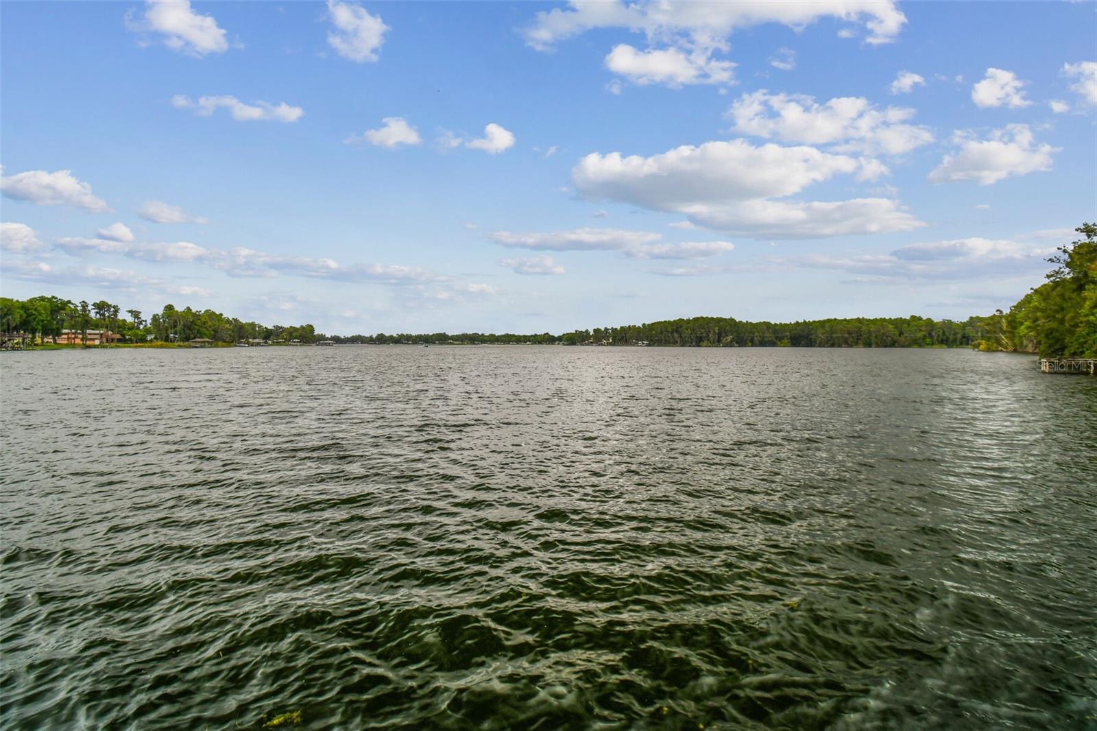 180 acre Lake Padgett