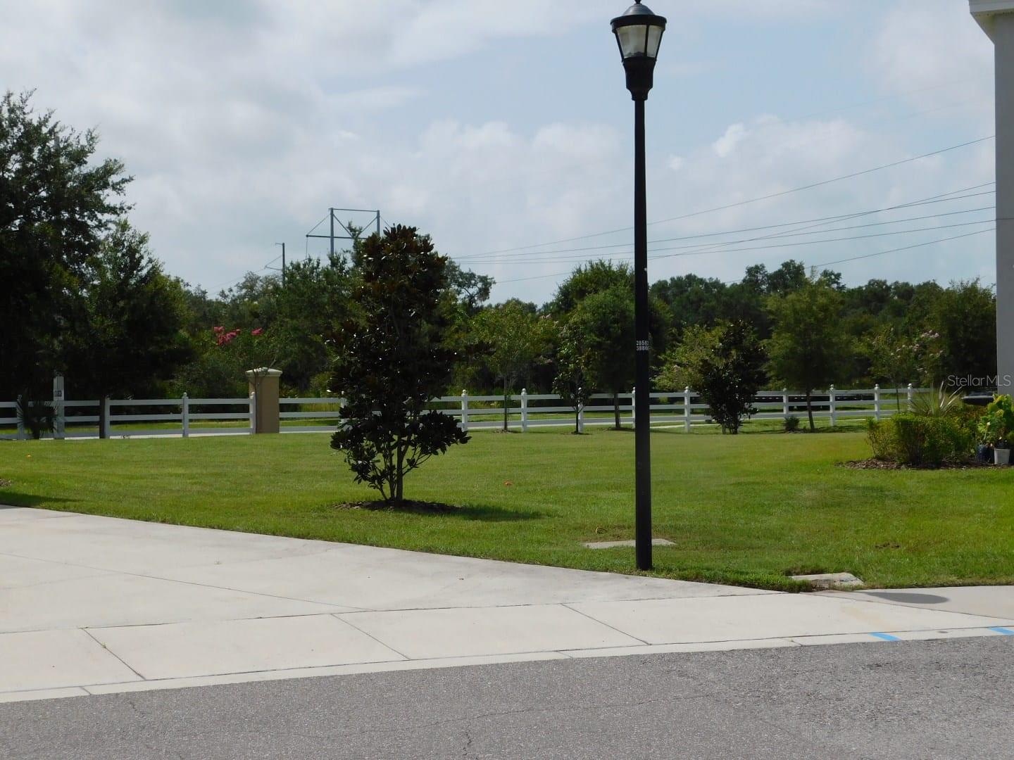 The vacant lot next door from the drive way.