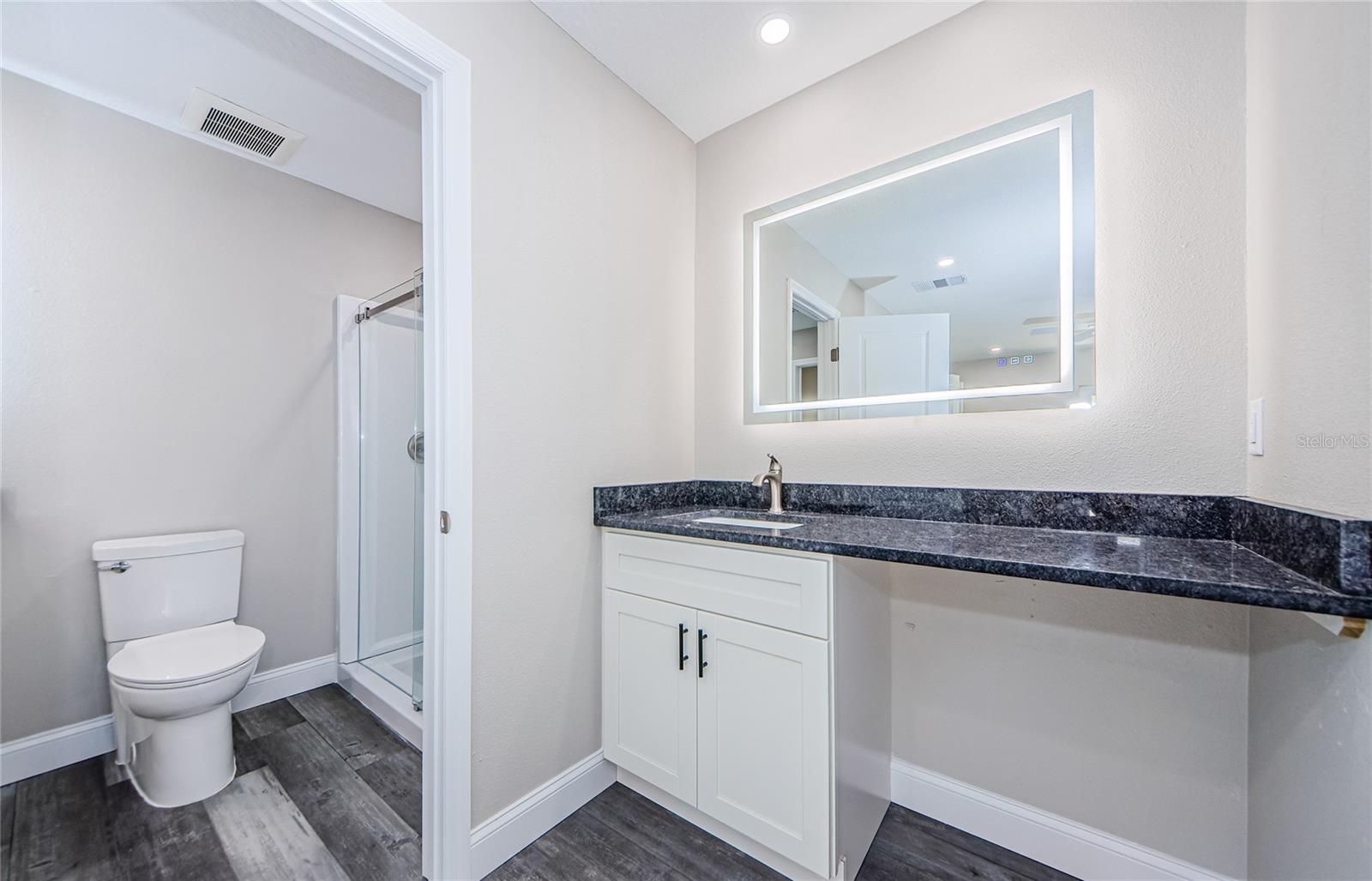 Owners En Suite Bathroom and Vanity