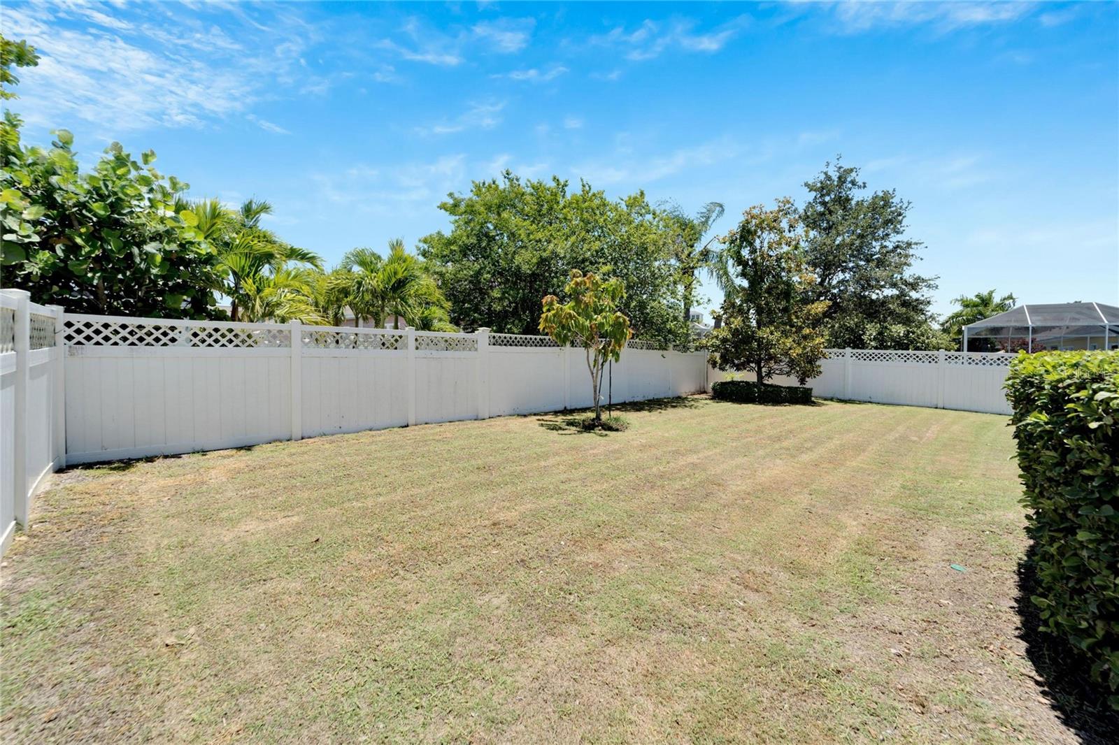 Fully fenced back yard