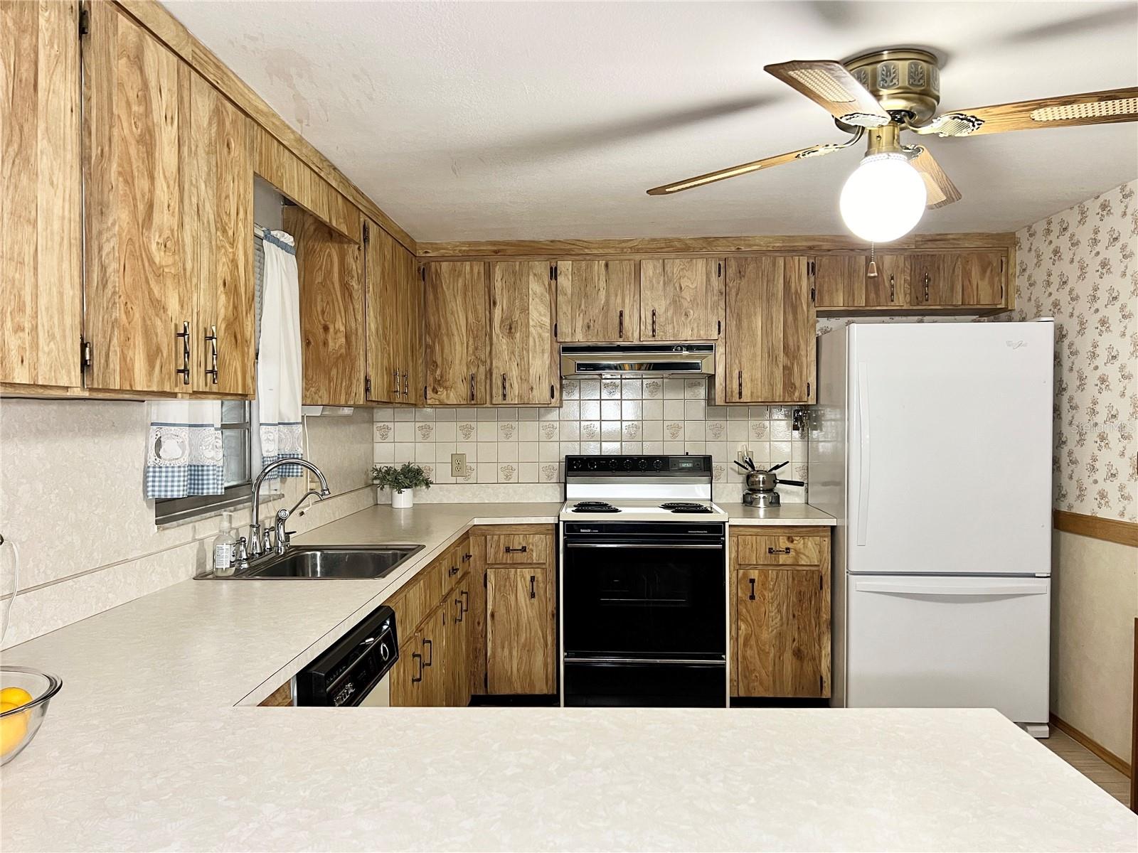 Kitchen - Plenty of Cabinet and Counter Space