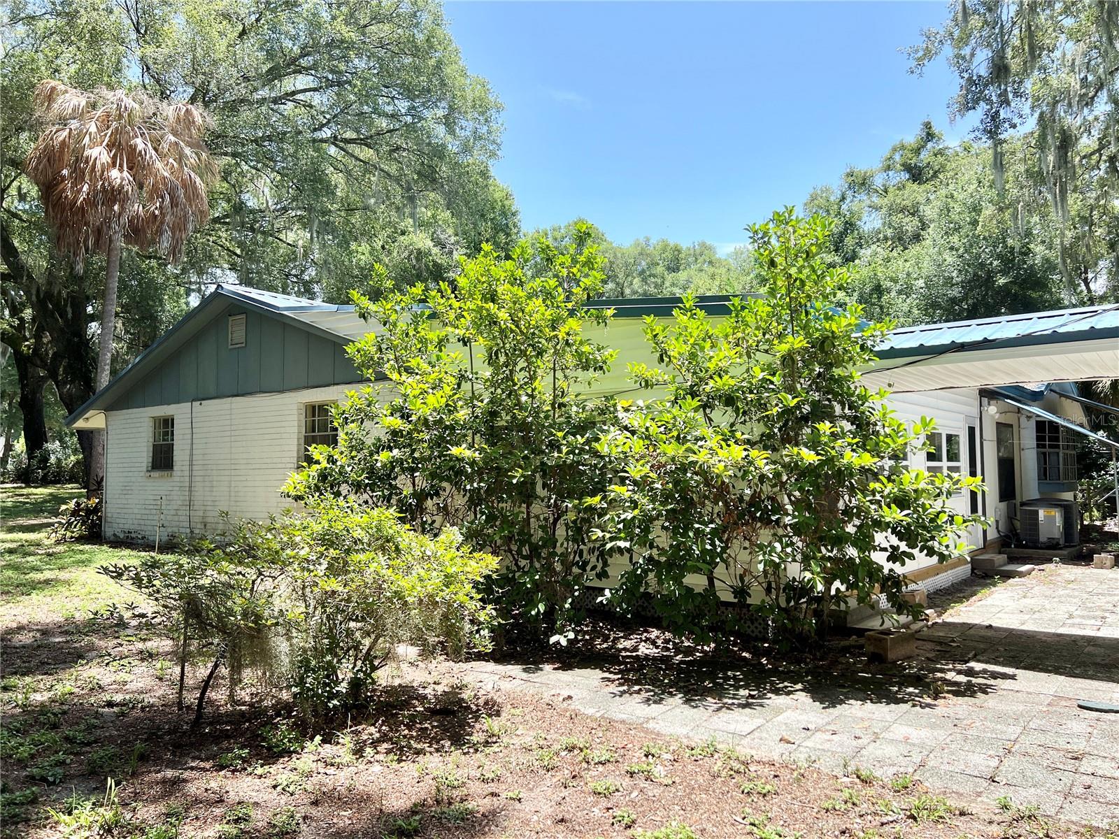 Side Yard View