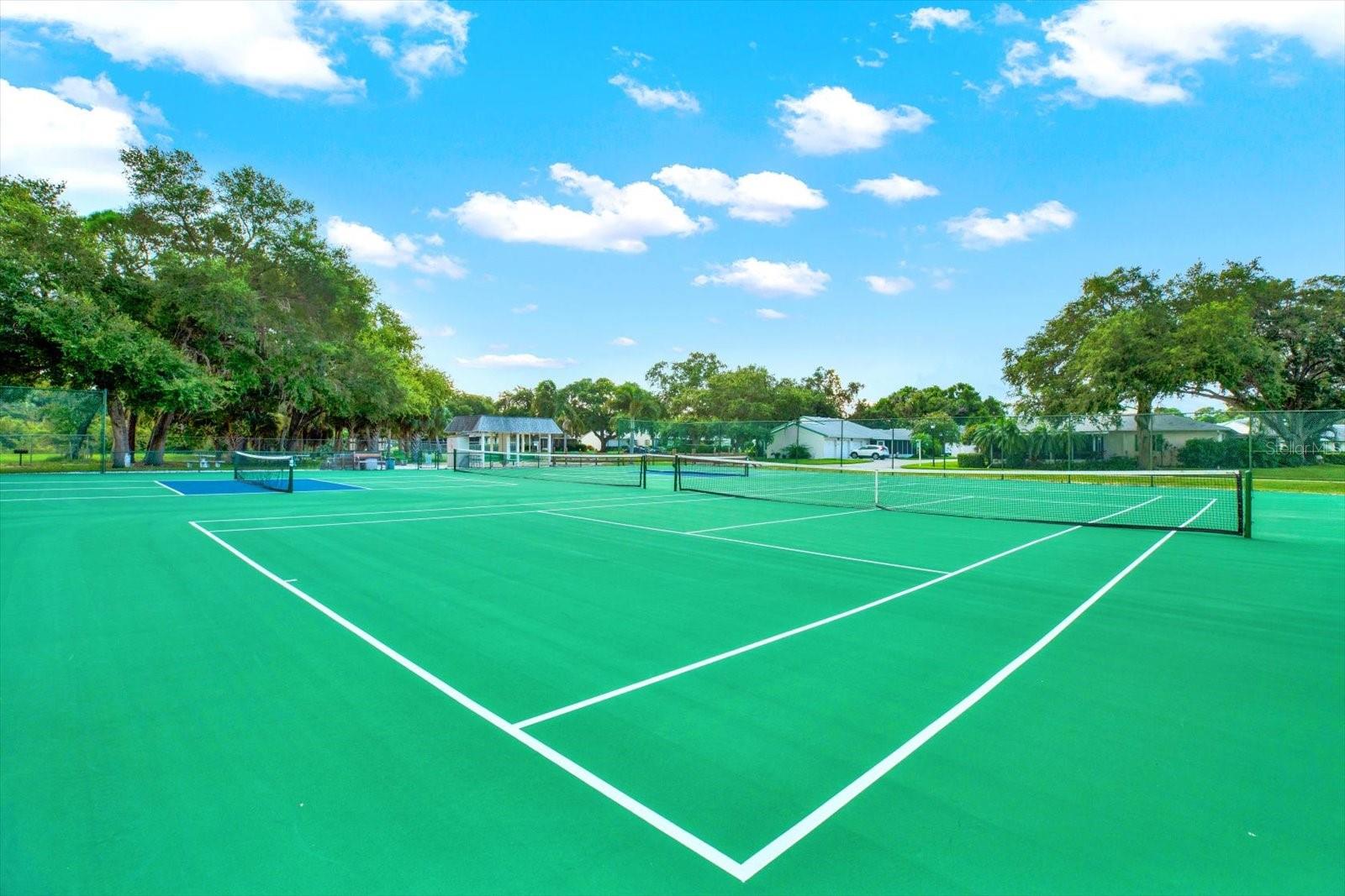 Ample greenspace and private entrance to Clam Bayou Nature Preserve