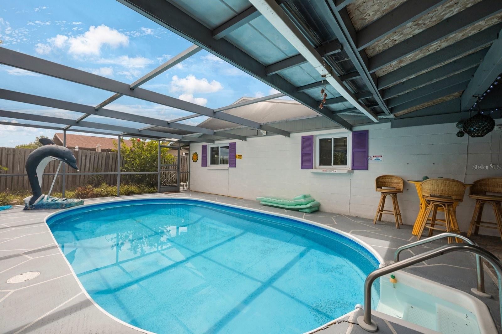 Screen Enclosed Saltwater Pool